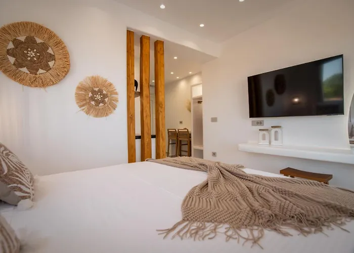 펜션 Vino Luxury 2 Agia Anna (Naxos)