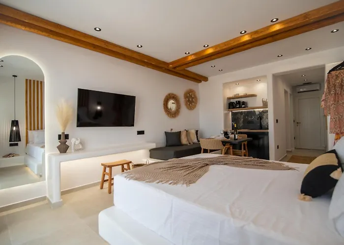 Vino Luxury 2 Agia Anna (Naxos)